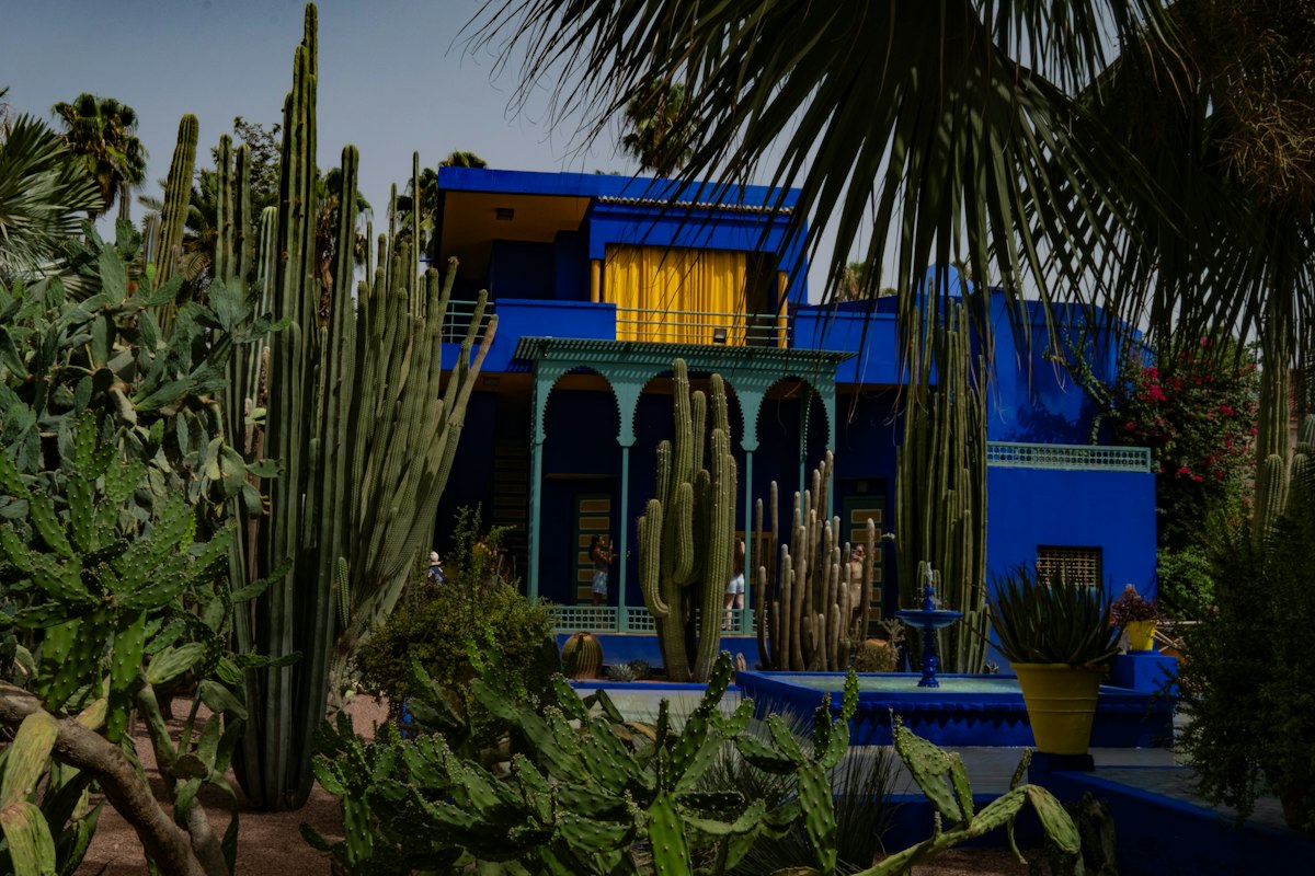 Garden pathways at Jardin Majorelle with tropical plants