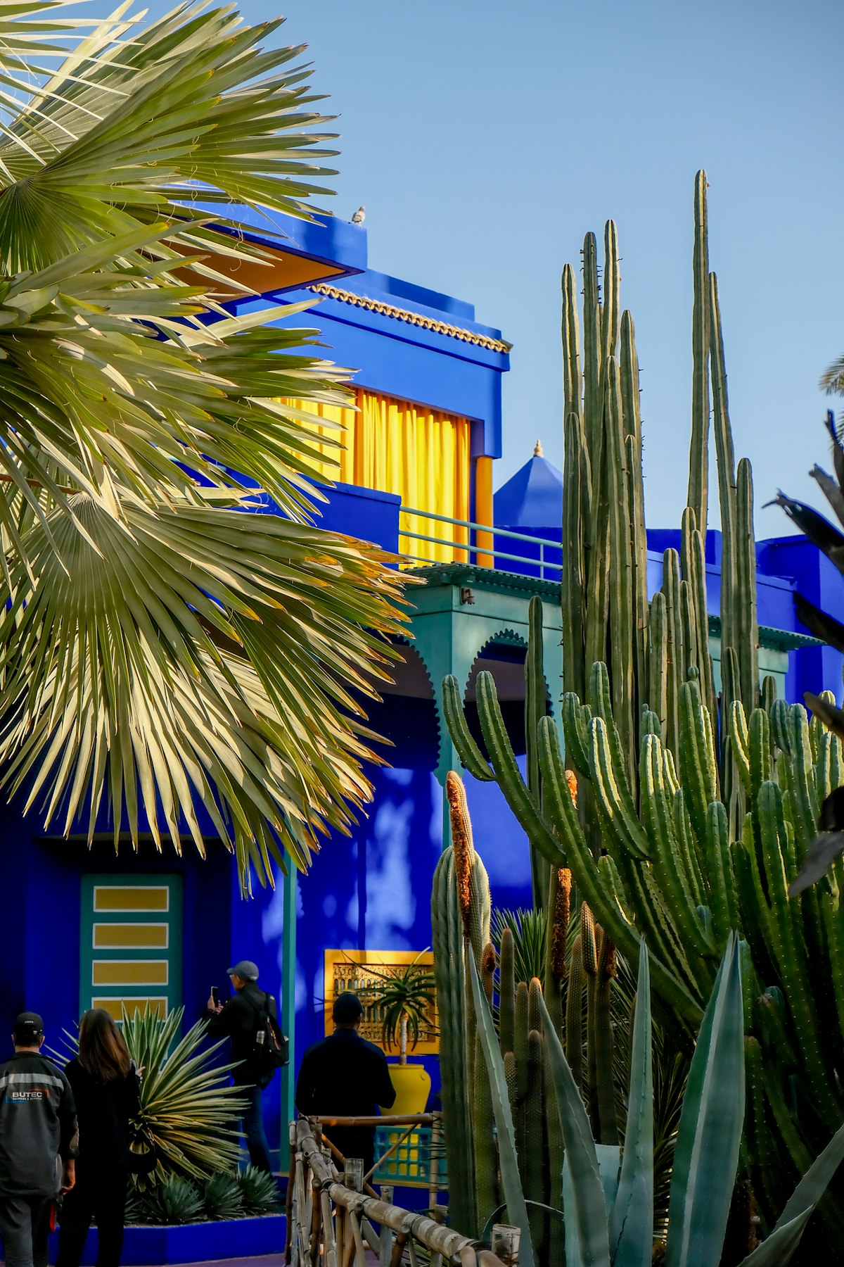 Cobalt-blue buildings and lush tropical plants at Jardin Majorelle, Marrakech